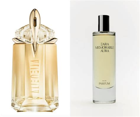 zara perfume dupes|16 Zara Perfume Dupes That Could Be Designer Scents 2024